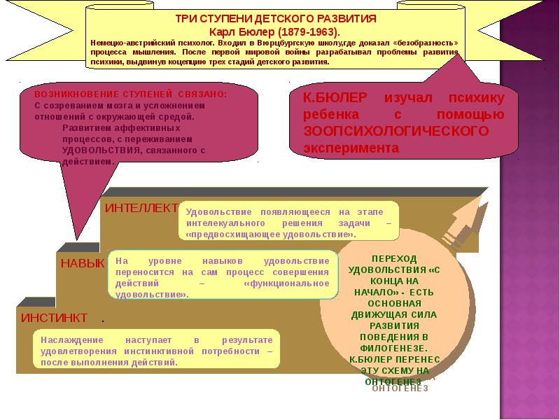 Ступени детского развития к Бюлера. Теория трех ступеней детского развития Карла Бюлера. Бюлер три ступени развития ребенка. Основные идеи теории трех ступеней к Бюлера.