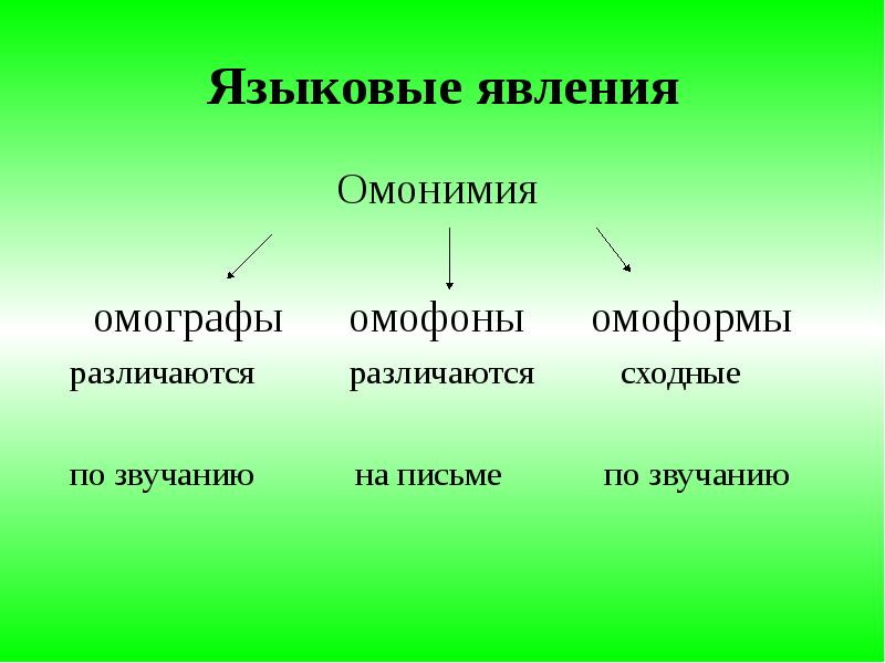 Омографы омоформы. Пример языкового явления. Языковые явления примеры. Языковые явления в русском языке. Лингвистическое явление примеры.