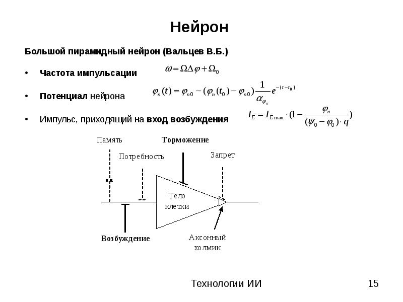 Возбуждение нейрона