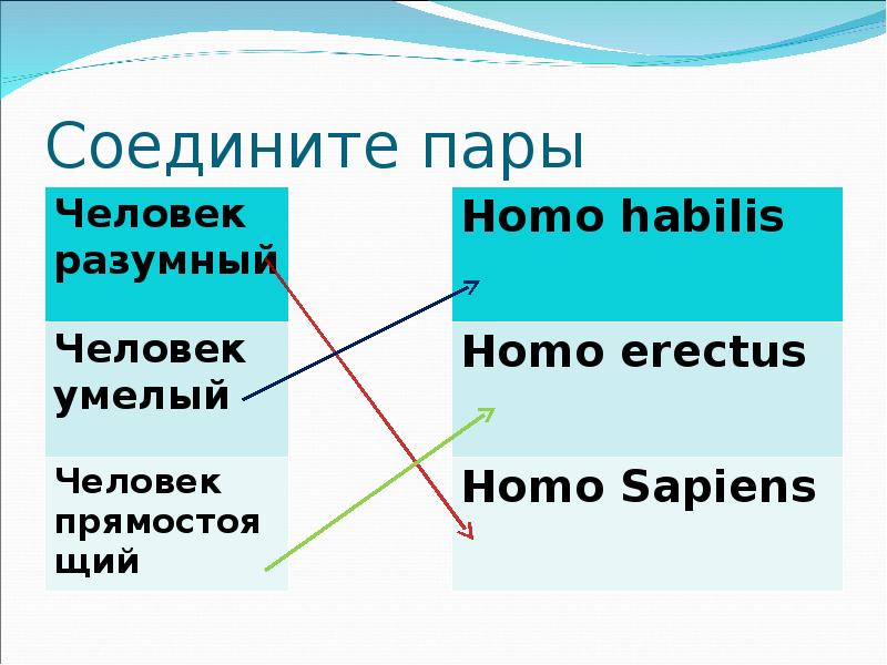 Соединенные пары. Соединить пары. Пара соединена.