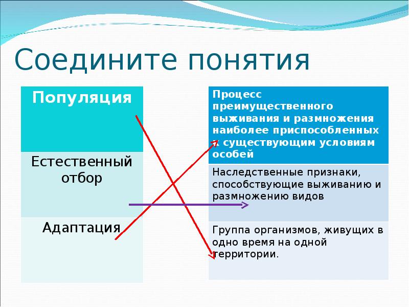 Соедините понятия. Соединить понятия и определение. Соедините термины с. Соедини понятие с его определением. Соедините термин и его определение.