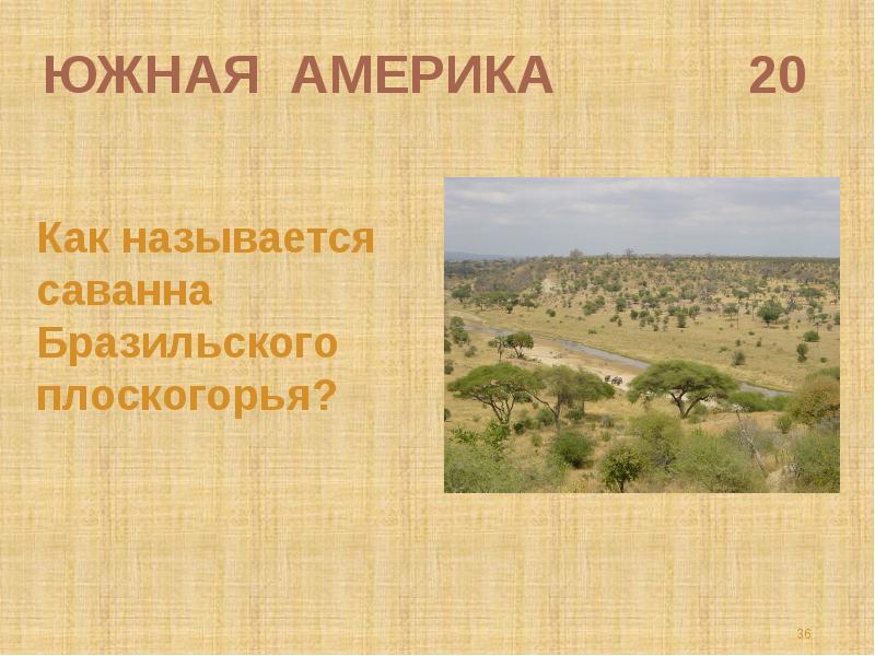 Саванна по бразильски 6 букв. Саванны бразильского Плоскогорья называются. Саванны Южной Америки. Как называют саванны бразильского Плоскогорья. Как называются саванны бразильского Плоскогорья?.