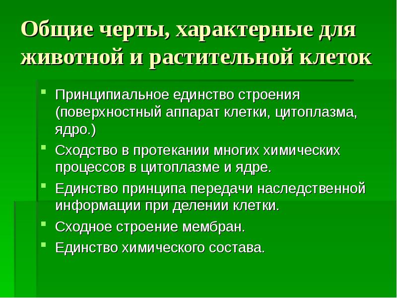Сходство vи различие растительной и животной клетки