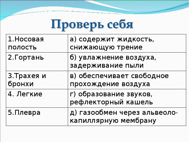 Уменьшение силы трения. Вязкость суставной жидкости выше при:. Проверка дыхательной функции носа. Суставная жидкость уменьшает трение в суставе. Содержит жидкость снижающую трение.