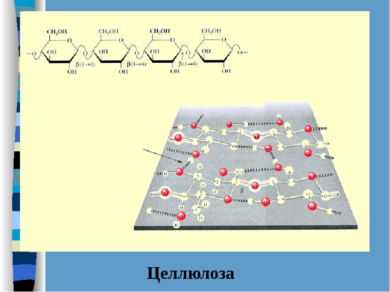 Целлюлоза состав молекул. Вторичная структура целлюлозы. Целлюлоза связи. Полисахариды из пентоз. Целлюлоза относится к гексозам.
