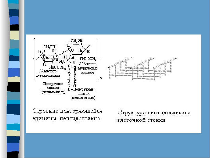 Углеводы моносахариды презентация