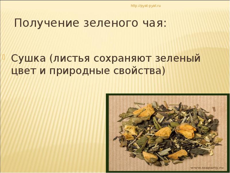 Чайный куст описание. Чай это листья чего. Зеленый чай листья. Презентация на тему чай. Чайный куст китайская камелия.