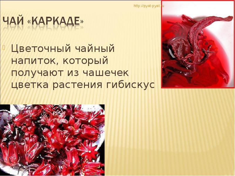 Технологическая карта каркаде чай