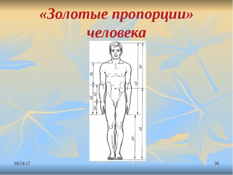 Золотая пропорция презентация