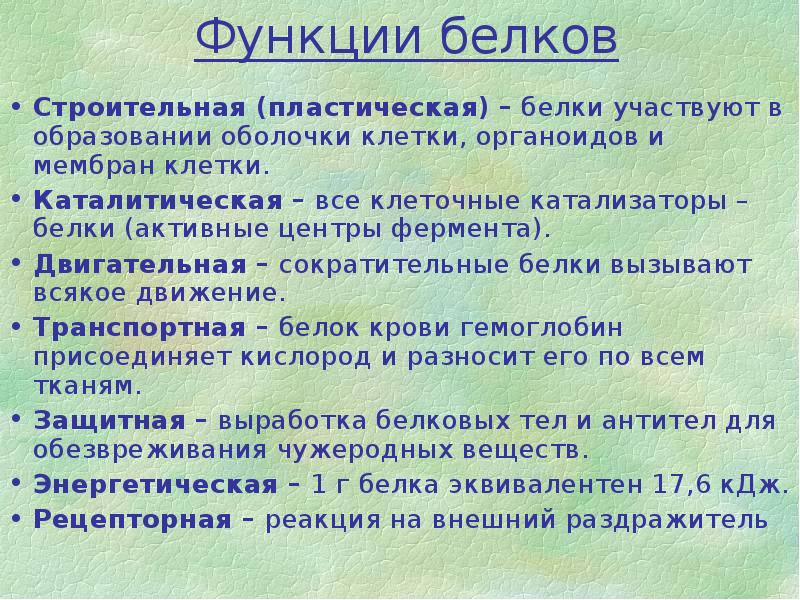 Проект по белкам