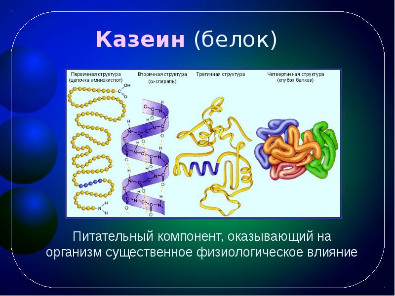 Молочный белок состав. Структура белков молока. Казеин белок структура. Казеин структура белка. Химическая структура казеина.