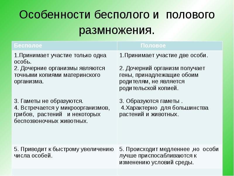 Бесполое размножение. Размножение живых организмов. Медленно размножаются. Как происходит половое размножение. Размножение гидры половое или бесполое.