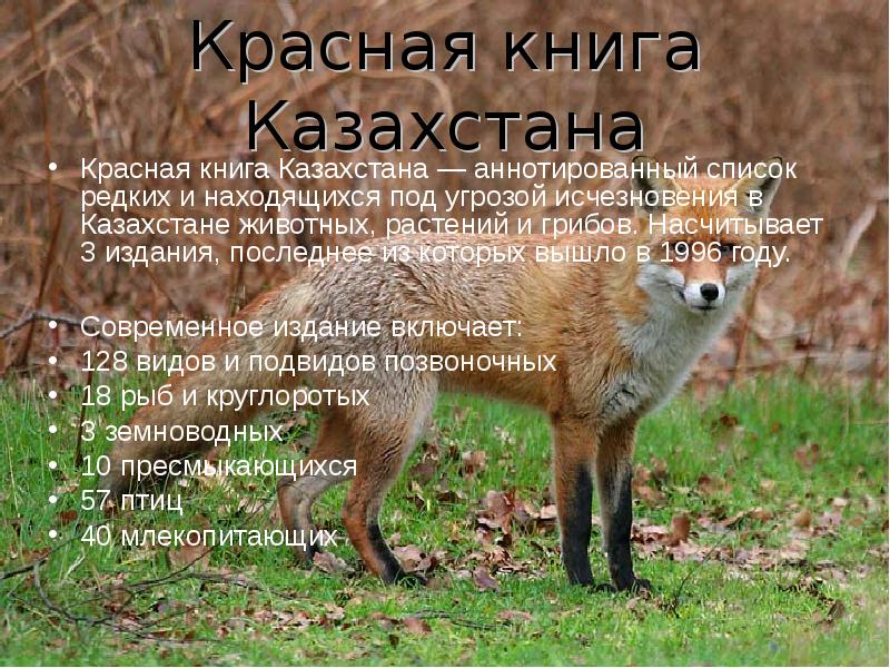 Красная книга казахстана животные и растения презентация