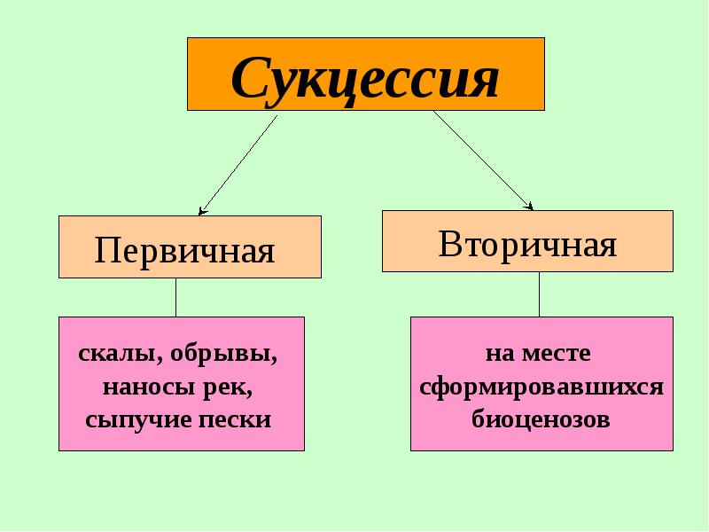 Зарождение и смена биогеоценозов презентация 10 класс пономарева