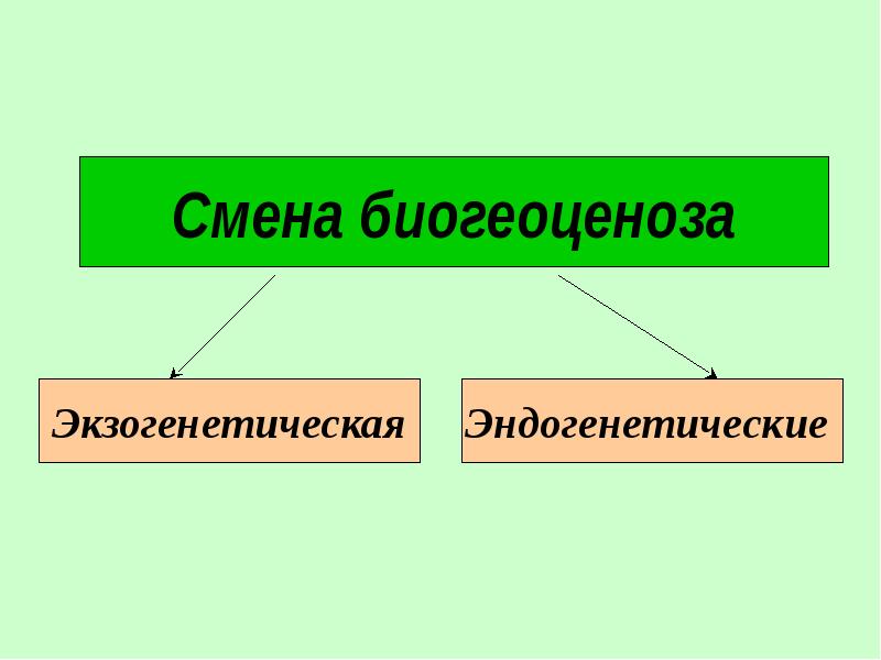 Многообразие биогеоценозов презентация