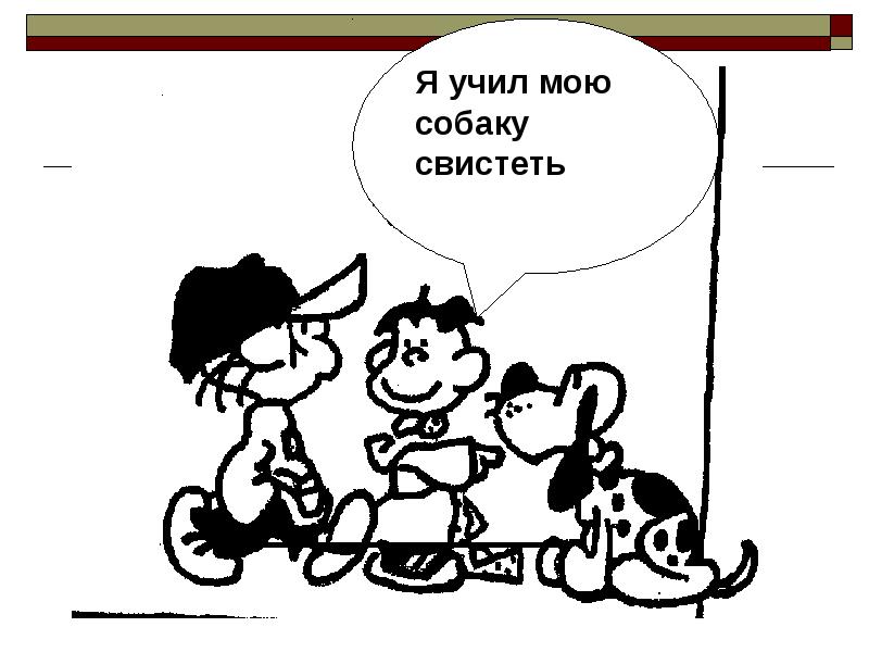 Команда привет для собаки. Как научить собаку команде рядом без поводка. Жизнь с 10 хаски дзен коба. Щенки не учи меня текст. Дрессировка собак стыдно.