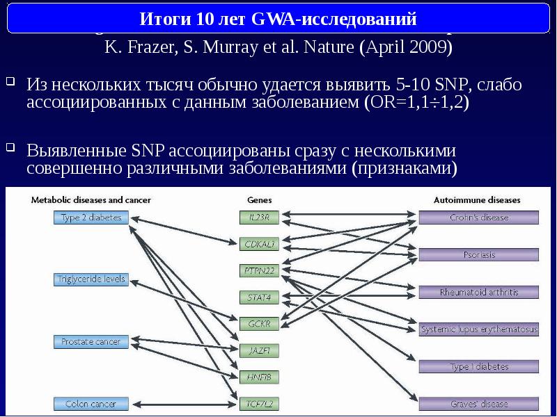 Как осуществляется генетический контроль развития. Примеры генетического контроля формирования признака. генетический мониторинг. гены, контролирующие морфогенез. институт общей генетики.