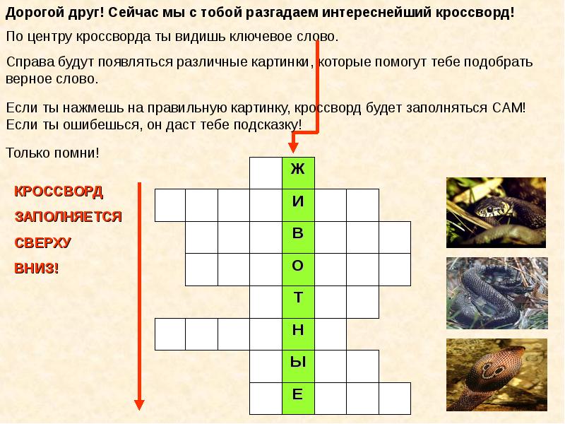 Центр кроссвордов. Кроссворд с ключевым словом животные. Кроссворд с ключевым словом животное. Кроссворд ключевое слово животные. Кроссворд с ключевым словом animals.