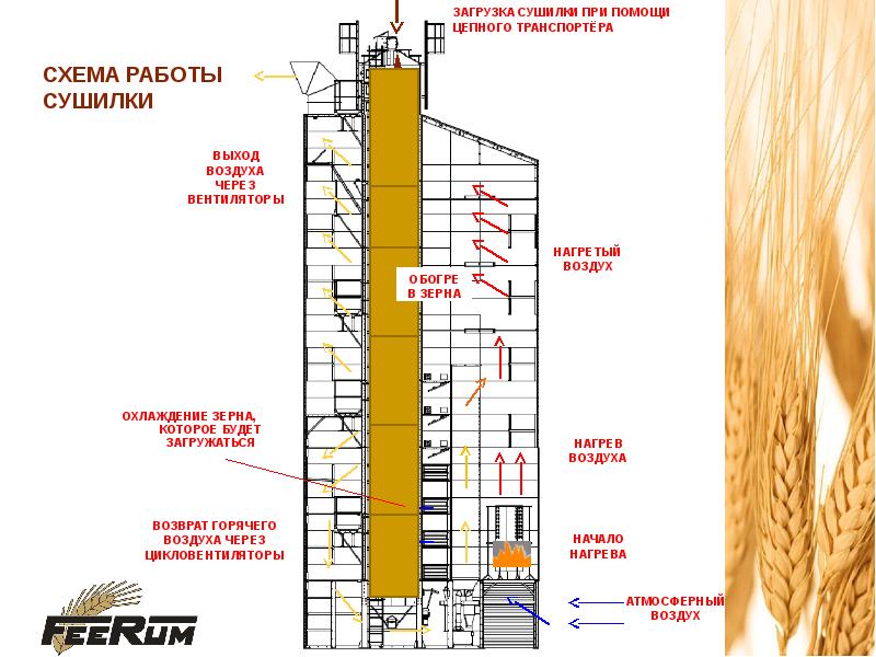 Шахтные зерносушилки презентация