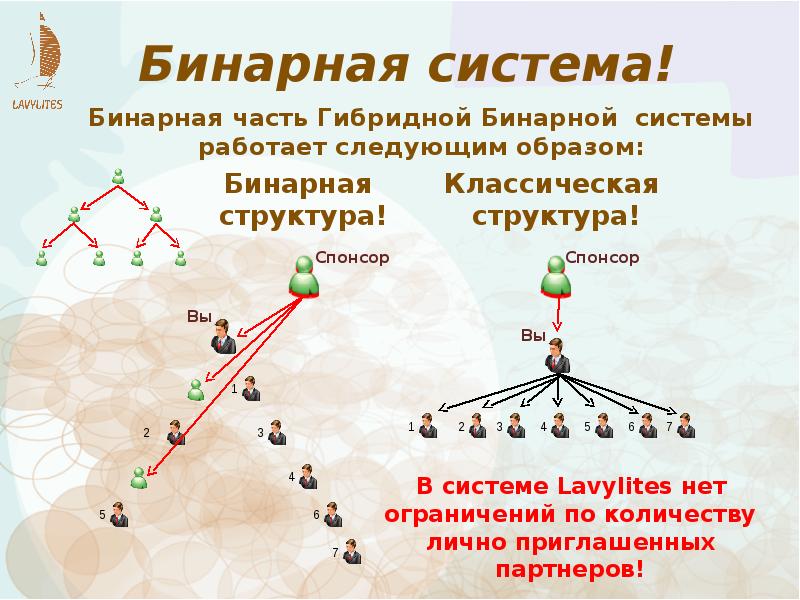 Бинарный это. Бинарная структура. Структура бинара. Система Бинар. Бинарная система маркетинга.