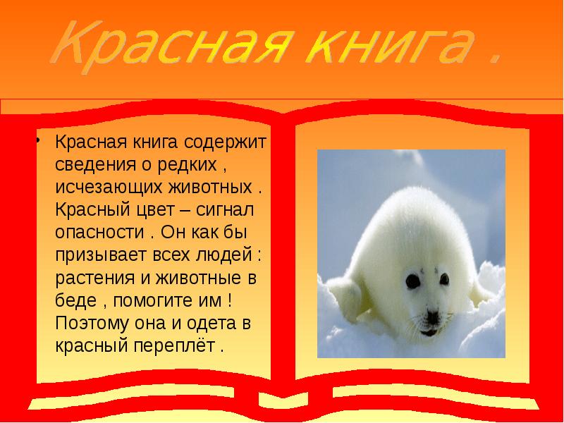 Проект на тему красная книга животных