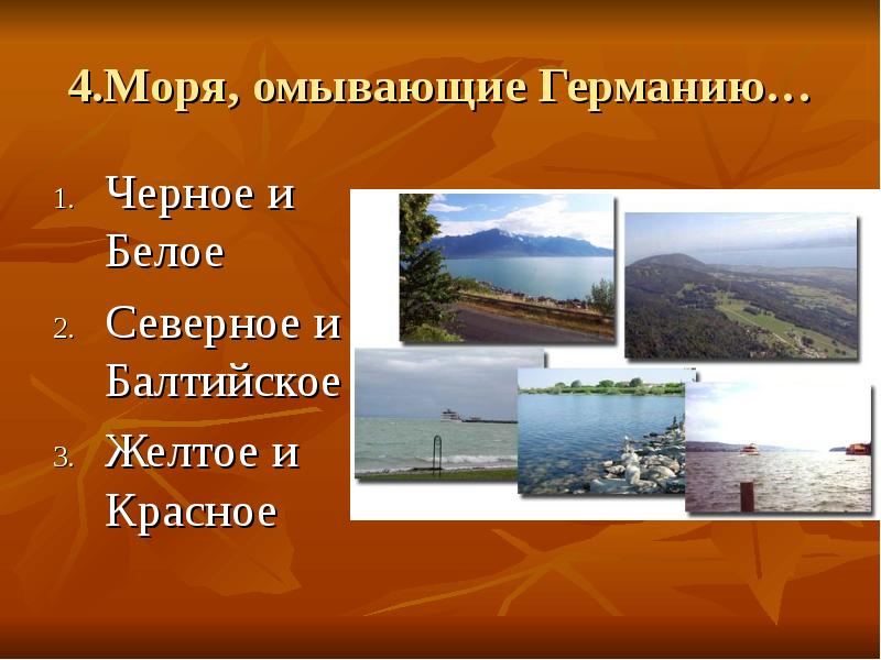 Какое море омывает германию. Германия в центре европы. Германия омывается морями. Географическое положение германии. Какое море омывает германию.