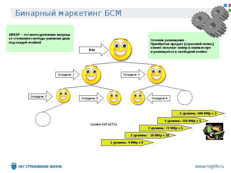 Маркетинг план хэппинес видео