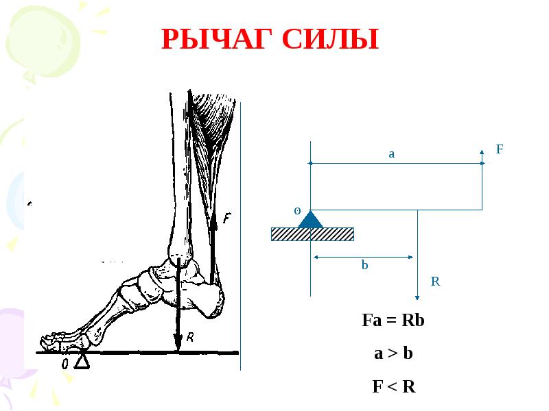 Точка рычаг. Рычаг силы. Рычаг силы в биомеханике. Усилие рычага. Схема рычага силы.