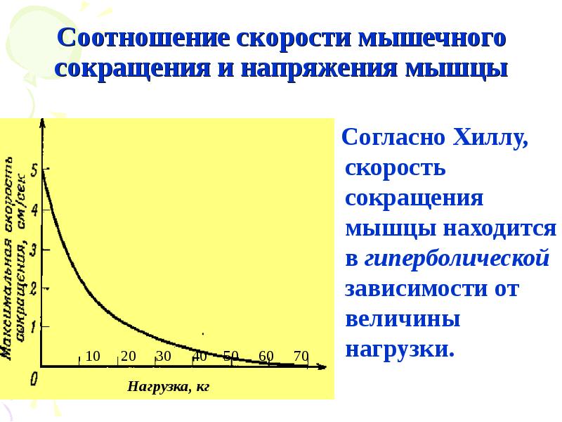 Графическое изображение мышечной работы