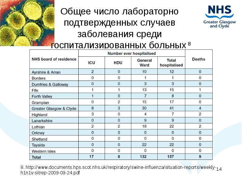 Презентация грипп h1n1