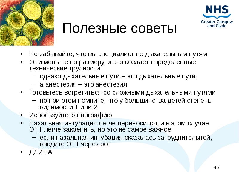 Презентация грипп h1n1