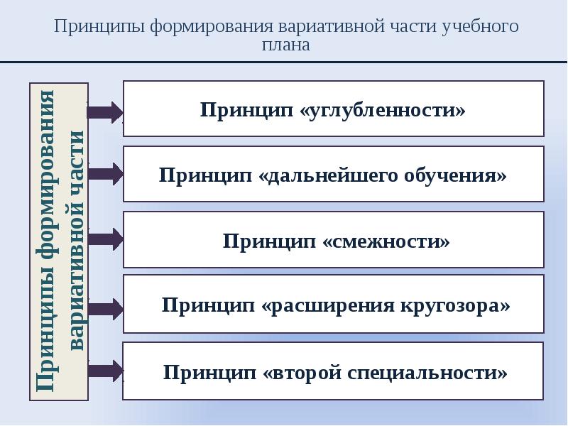 Формировании 4. Принцип вариативности в обучении. Развитие системы вариативного образования. Принцип вариативного образования это. Педагогические принципы и вариативность образования.