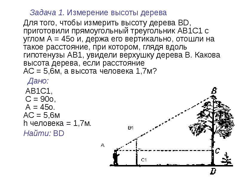 Сделайте картинку иллюстрирующую ситуацию описанную в рассказе и ответьте чему равна высота дерева