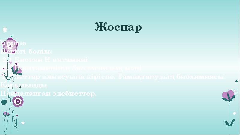 Жоспар