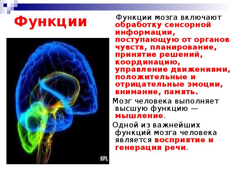 Переработка сенсорной информации