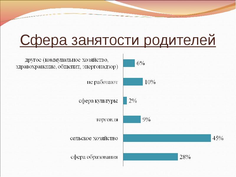 Сфера занятости. Сфера занятости это пример. Название сферы занятости. Занятость родителей.