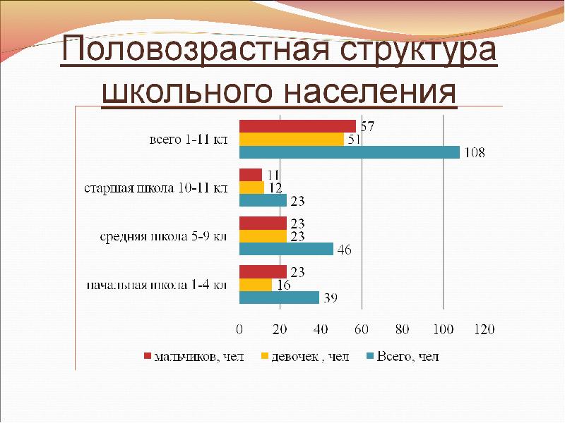 Наш демографический портрет конспект урока