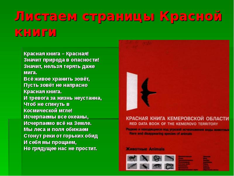 Страницы красной книги по цветам презентация