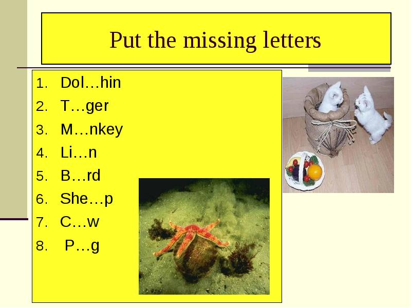 Missing letter перевод. Put in the missing Letters. Put the missing Letters месяцы на английском. Put the missing Letters. Can da, a stralia, Russ a, fran e, j Pan. P@NKEY.