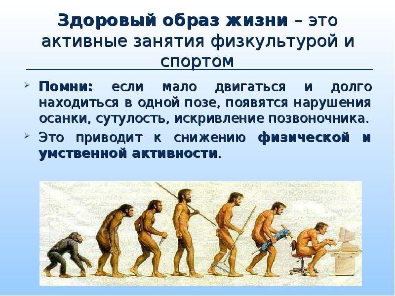 История зож картинки