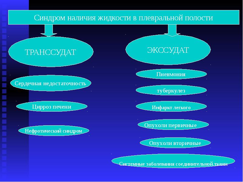 Пневмония синдромы. Синдром плеврита. Транссудат бывает. Транссудат в полости. Транссудат это пропедевтика.