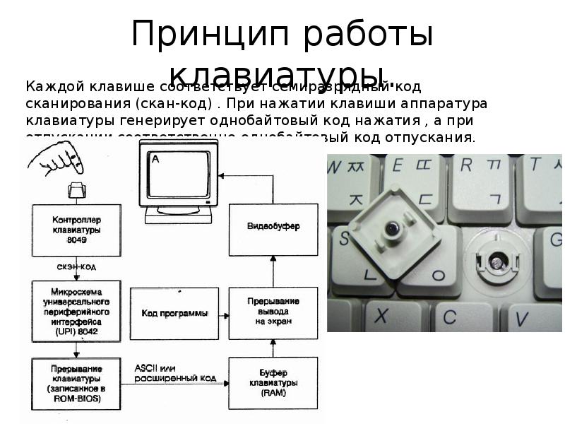 Рекомендации при работе на клавиатуре. Принцип работы компьютерной клавиатуры. Принцип работы клавиатуры кратко. Принцип действия беспроводной клавиатуры. Принцип работы клавиш.