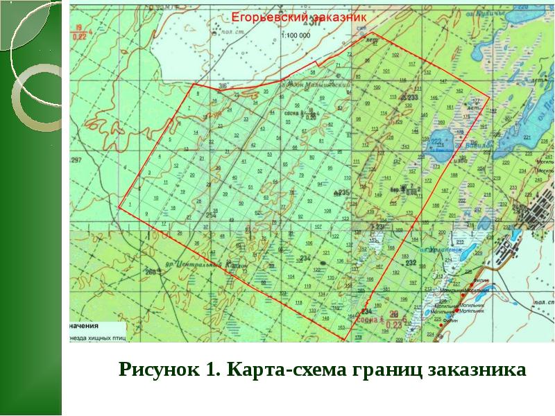 Схема лесничеств алтайского края