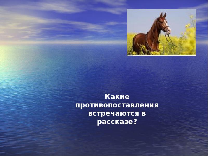 Как автор добивается достоверности в изображении духовного мира животного о чем плачут лошади