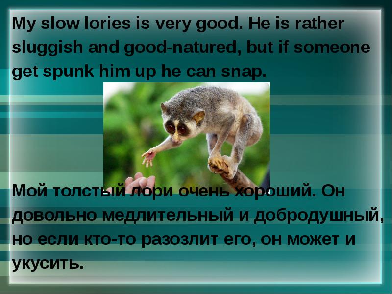 My slow. My slow. My slow. My slow. My slow.