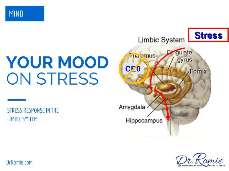 Stress your mind. Mindfulness stress.