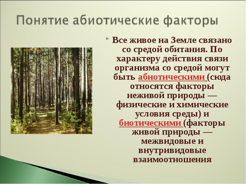 Карбон условия. Абиотические факторы хвойного леса. Абиотические факторы среды обитания. Взаимосвязь живого организма со средой обитания это. Карбон условия неживой природы.