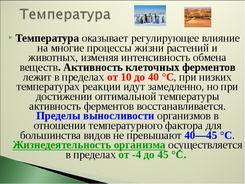 На температуру оказывают влияние. Характеристика температуры биология. Температура это в биологии. Влияние температуры на жизненные процессы. Температура это кратко биология.