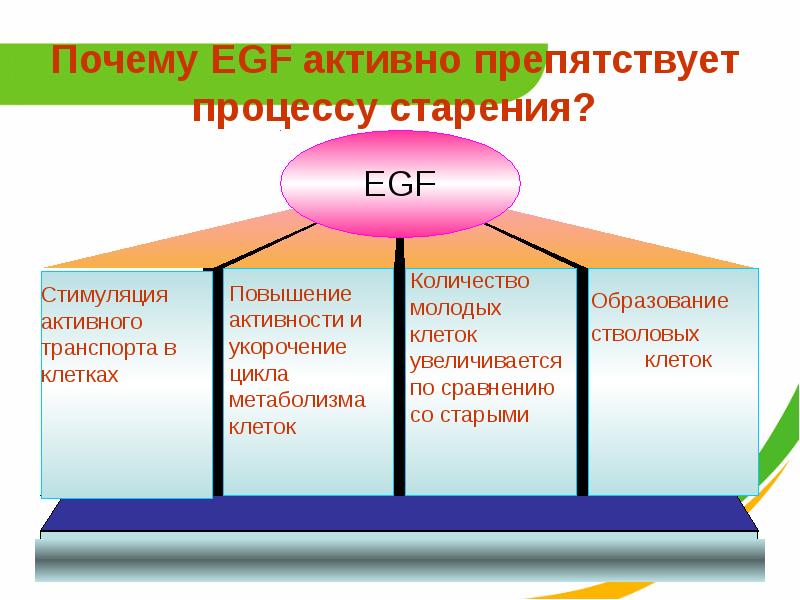 Активный фактор. Перечислите факторы, препятствующие старению легких.. Факторы препятствующие старению легких. Факторы препятствующие старению легких человека анатомия. Препятствует старение.