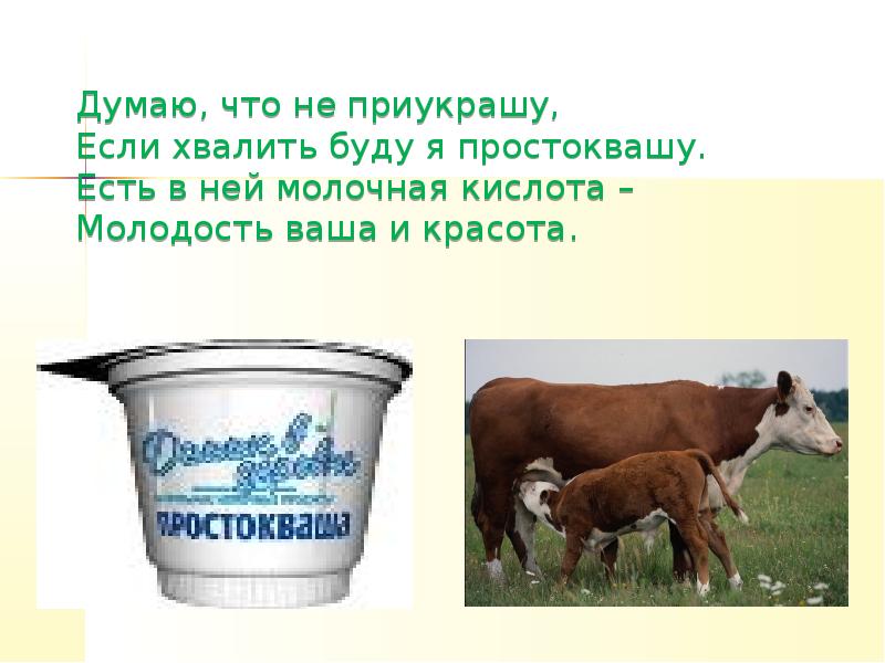 Как в старину называли по другому простоквашу. Презентация на тему простокваша. Молочная кислота доклад. Загадки про простоквашу. Съел просроченную простоквашу.